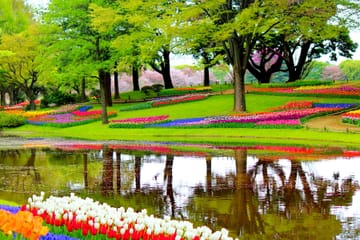 Private 17-Day Van Tour of Brussels and Amsterdam
