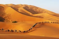 4 Day Desert Tour From Marrakech with camel ride