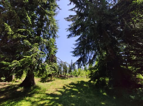 Local Adventures in the Rhodope Mountains
