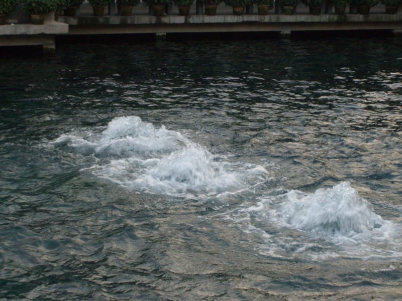 Jinan: Baotu Spring, Daming Lake & Old City Private Day Tour