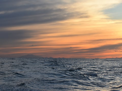 Akureyri Express Whales in the Midnight Sun, photo 7