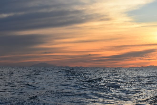 Akureyri Express Whales in the Midnight Sun 7