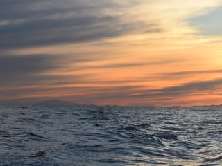 Akureyri Express Whales in the Midnight Sun, photo 7