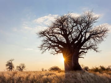 7 Days Best of Tanzania Safari