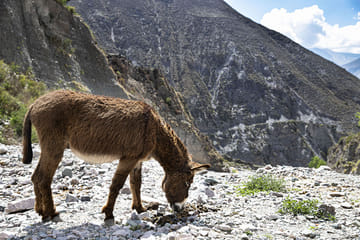 Humahuaca Gorge and Iruya 2 Days Journey from Salta