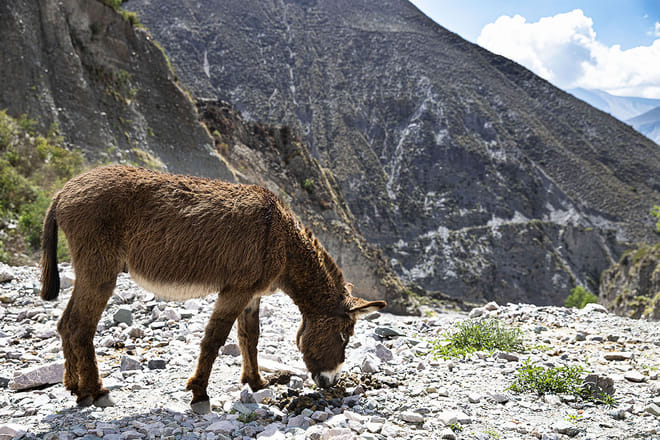 Humahuaca Gorge and Iruya 2 Days Journey from Salta 4