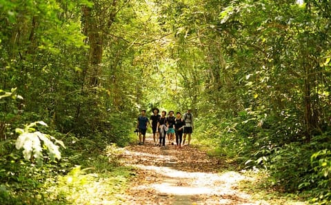 Full Day Trekking Cat Ba National Park, Viet Hai Village, biking