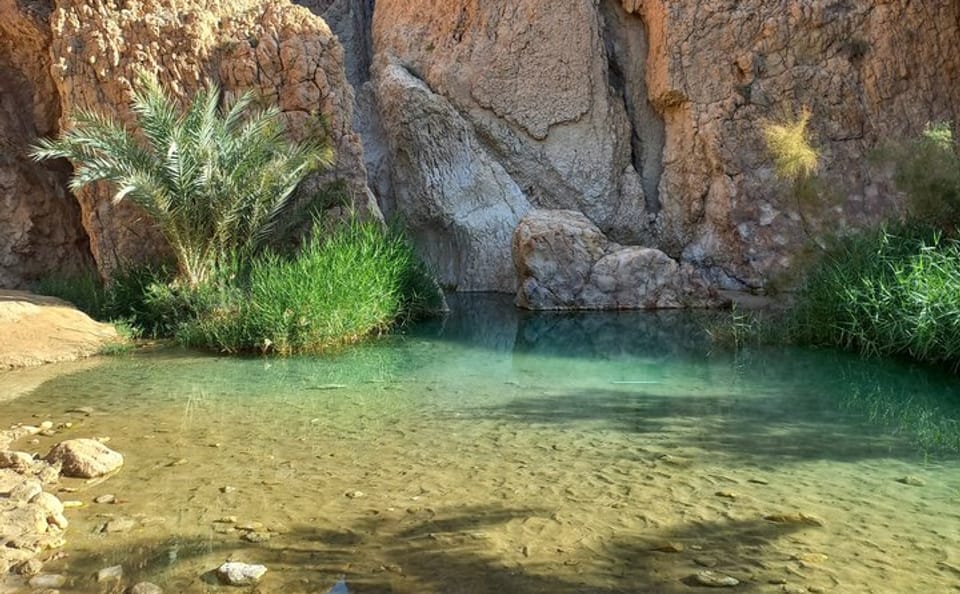 3-Day Sahara and South Tunisia Splendors Douz Tozeur from Tunis