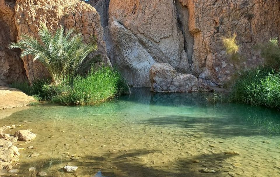 3-Day Sahara and South Tunisia Splendors Douz Tozeur from Tunis