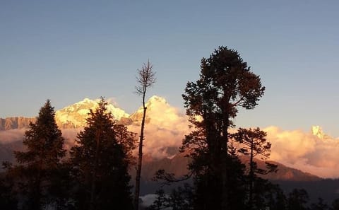 Mohare Danda Trek: Scenic Hiking Adventure in Nepal