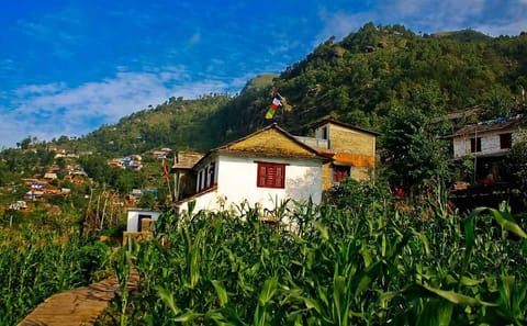8-Day Cultural Home Stay Tour in Sirubari, Kathmandu, and Pokhara
