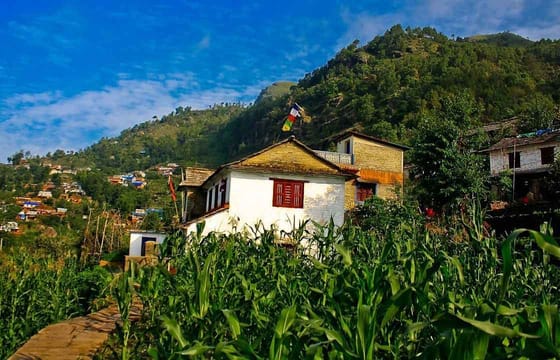 8 Days Sirubari (First Home stay in Nepal) with Kathmandu and Pokhara Tour