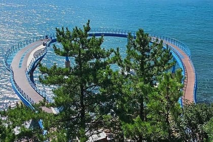 Private Minibus Tour in Busan for Cruise Ship Guests 8-15 People