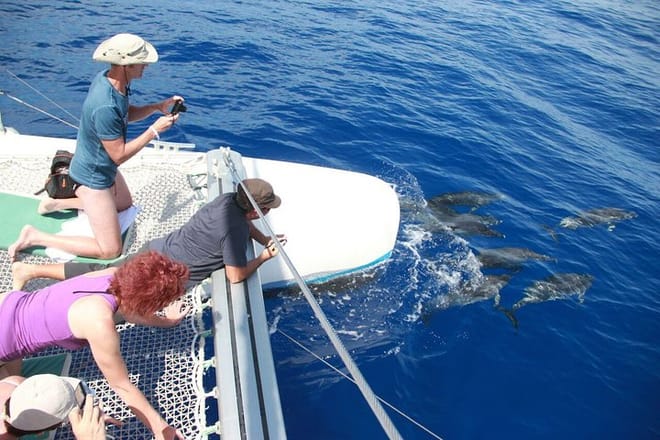 Cabo Girão Skywalk, Vineyards, Wine Tasting Tour in Open Roof 4x4 & Dolphin Watching 3
