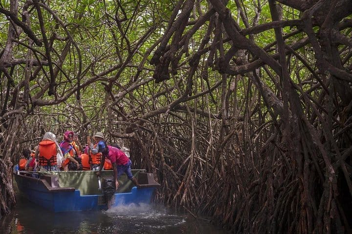 Boat Ride at Madu River