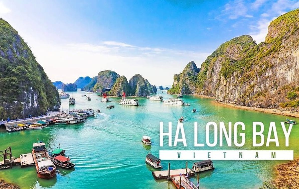 From Hanoi: Ninh Binh Tour and Ha Long Bay Cruise 2-Day Trip