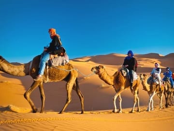 Private Dubai City Tour and Desert Safari with BBQ Dinner