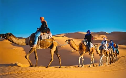 Private Dubai City Tour and Desert Safari with BBQ Dinner