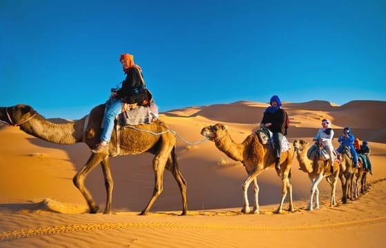 Private Half day Dubai city tour & Desert Safari with BBQ dinner