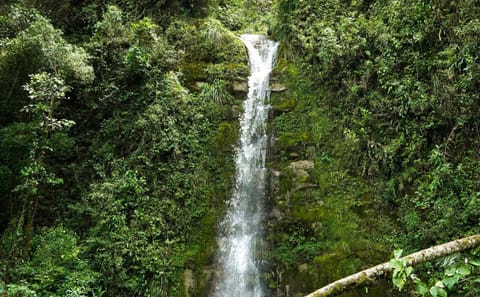 Full-Day Yumbilla Waterfalls Adventure in Chachapoyas
