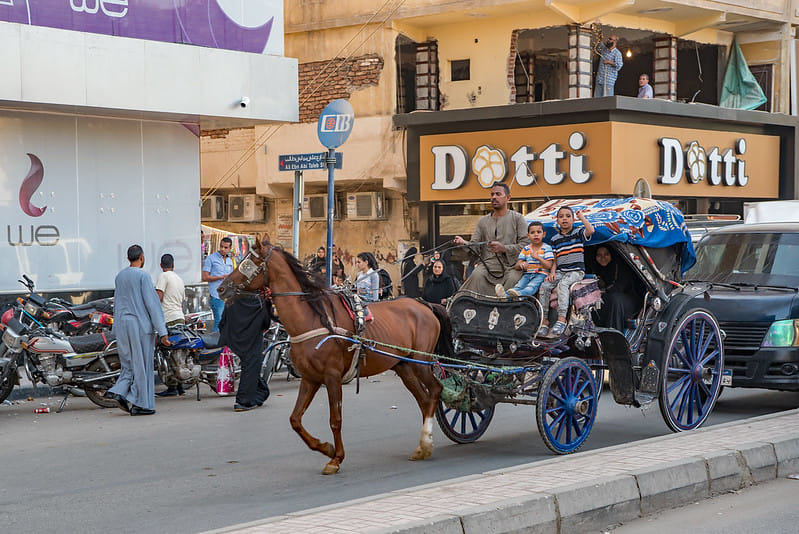 City Tour by Horse Carriage – Hantour