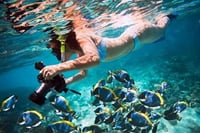 Full Day Coral Garden Snorkeling &amp; Diving with Lunch : Marsa Alam