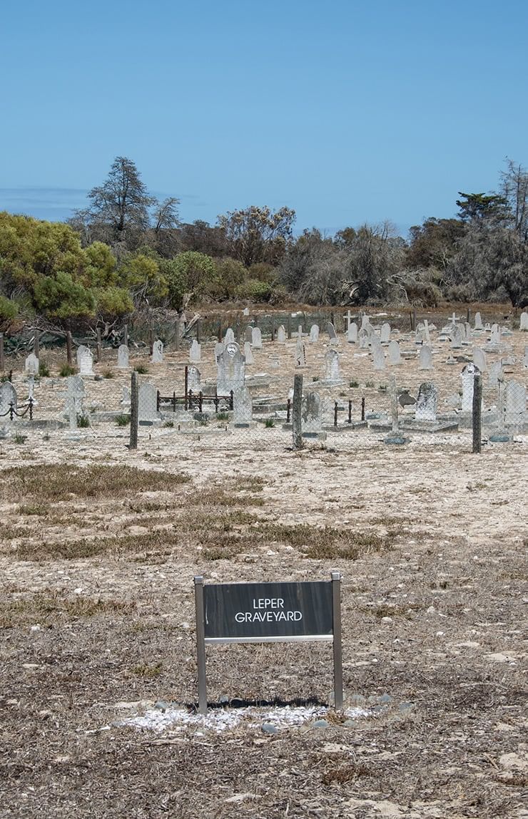 Robben Island and Cape Town's Anti-Apartheid Struggle tour. Cape Town. Guided.