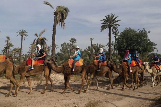 traces berbere camel trek