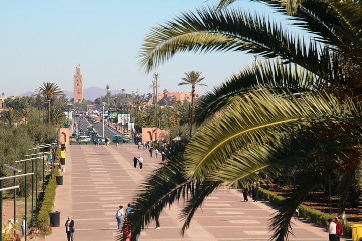 Marrakech Tour Gardens Majorelle, Menara & Anima Gardens