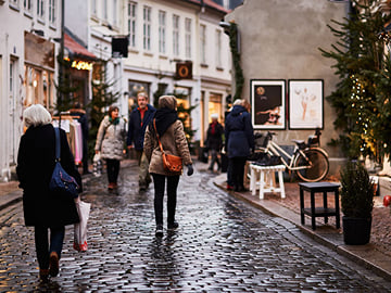 Copenhagen Secrets: Hidden City Tour with Local Guide