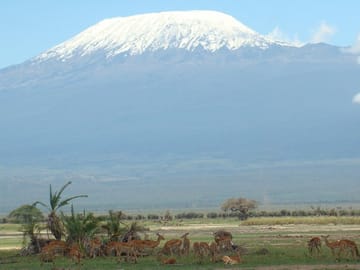 Mt. Kilimanjaro