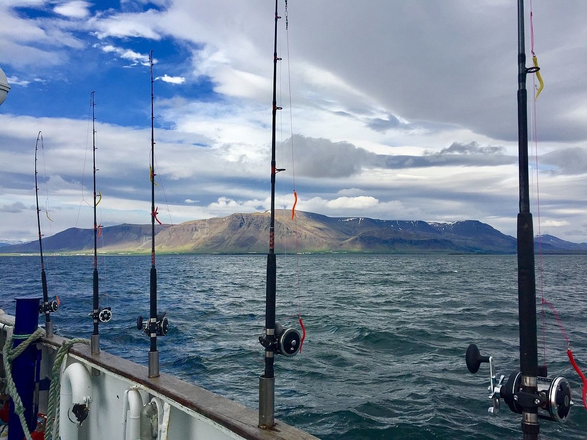 Sunset Fishing Adventure in Faxaflói Bay with Fresh Catch Tasting