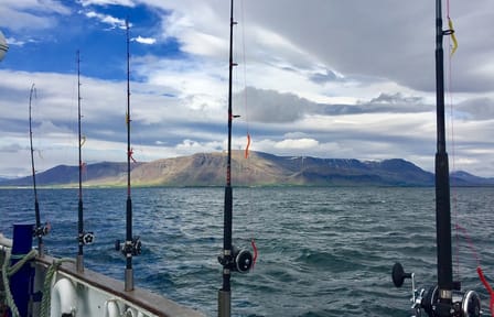 Sunset Fishing Tour in Faxaflói Bay, Reykjavík