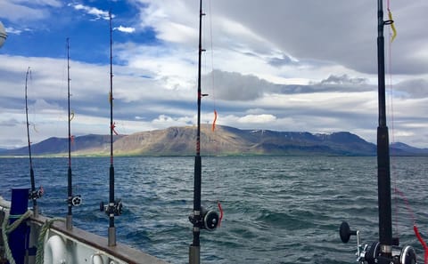 Sunset Fishing Tour in Faxaflói Bay, Reykjavík