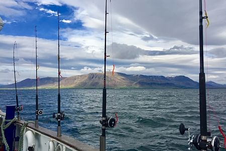 Sunset Fishing Adventure in Faxaflói Bay with Fresh Catch Tasting