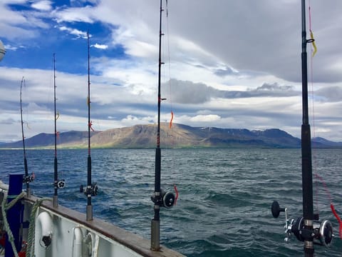 Sunset Fishing in Faxaflói Bay: 2.5-3 Hour Excursion