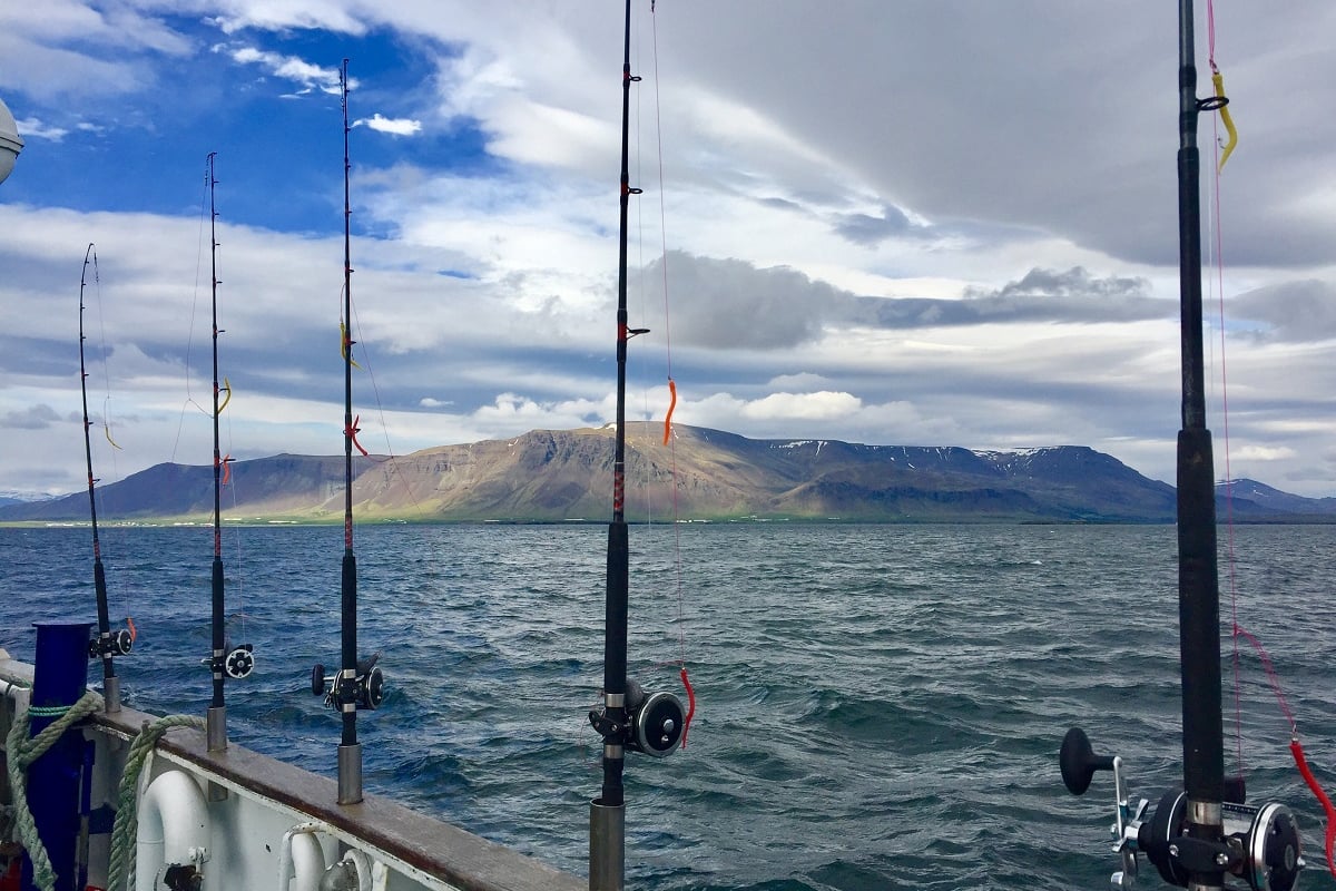 Sunset Fishing Tour, Iceland