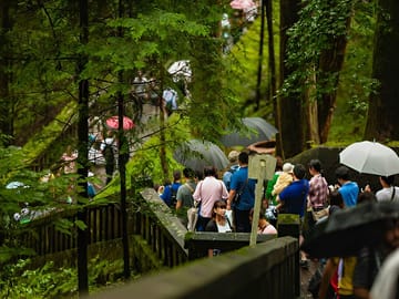 Nikko World Heritage Full Day Trip