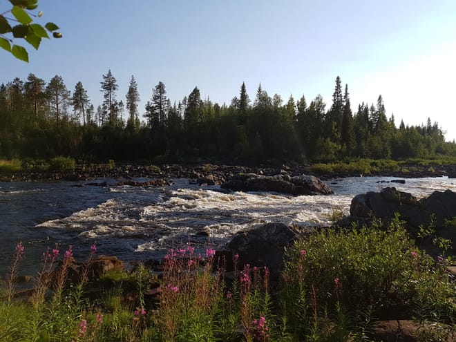 Fly Fishing or Spin Fishing in Lapland Wilderness Rivers photo 2