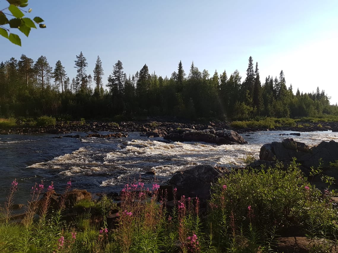 Experience of Fishing 5