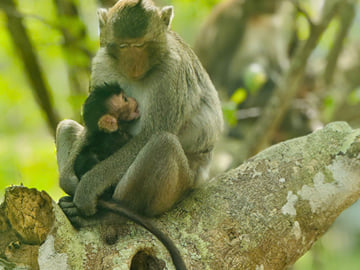 U Minh Thuong National Park Nature and Wildlife Tour