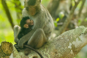U Minh Thuong National Park Nature and Wildlife Tour