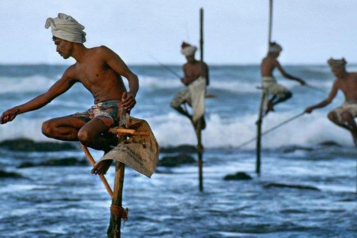 Stilt Fishermen