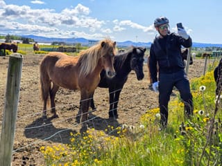 Nature of Reykjavik Private Bike Tour, photo 6
