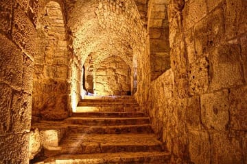 Private Tour to Jerash and Ajloun from Dead Sea