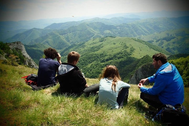Wildflowers of Romania Day Hike from Cluj