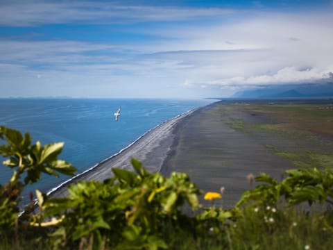 South Shore Adventure, photo 5