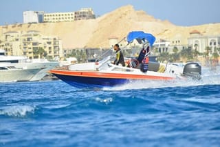 Swim With Dolphin By small-group Speedboat & Transfer - Hurghada