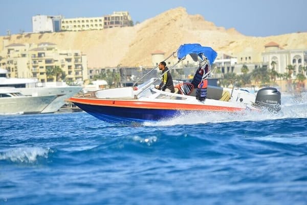 Swim With Dolphin By small-group Speedboat & Transfer - Hurghada