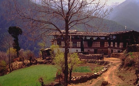6-Day Dagala Thousand Lakes Trek in Bhutan's Thimphu Region